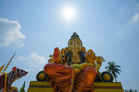 Bangkok Green Oasis Nature Bike Tour