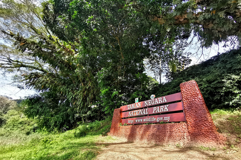 Kuala Lumpur: Taman Negara Tour w/Lata Berkoh Falls & Lunch Pickup Within KL City Centre Area Only