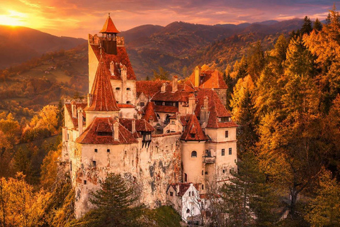 Brașov: Libearty Sanctuary, Peleș & Dracula Castle