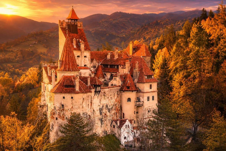Brașov: Libearty Sanctuary, Peleș & Dracula Castle