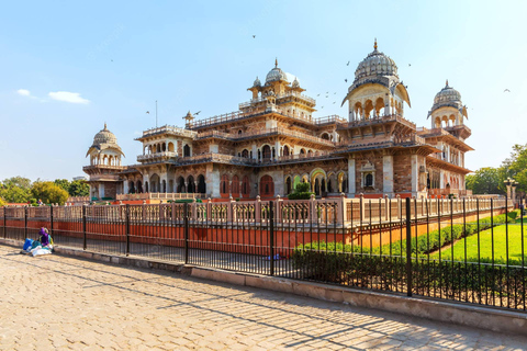 From Delhi: Golden Triangle & Ranthambore Tiger Safari Tour Only Tour Guide Services