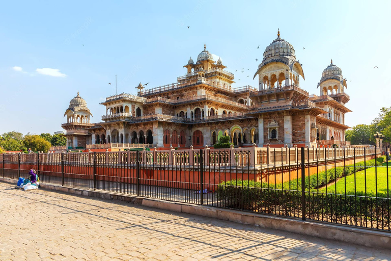 From Delhi: Golden Triangle & Ranthambore Tiger Safari Tour Only Tour Guide Services