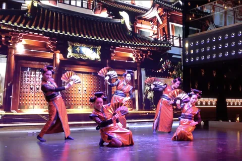 Tokyo: Japanese Style Variety Show with Dance,Magic & Dinner