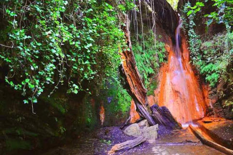 阿尔普哈拉斯一日游：阿尔安达卢斯的活历史阿尔普哈拉斯一日游：安达卢斯的活历史