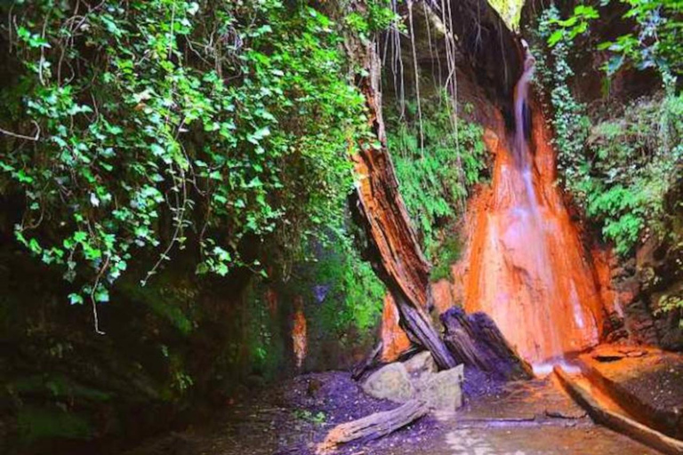 阿尔普哈拉斯一日游：阿尔安达卢斯的活历史阿尔普哈拉斯一日游：安达卢斯的活历史