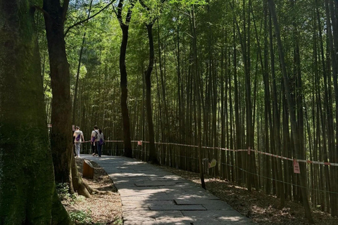 Hangzhou: Hike from Longjing Tea Village to Nine Creeks Group Tour