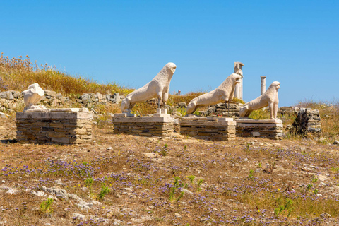 Paros : Croisière vers Mykonos et DelosCroisière à Mykonos