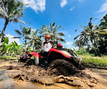 Ubud: Gorilla Face ATV Quad Bike Adventure with Lunch
