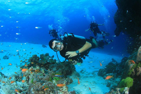 Hurghada: Beginner Diving Trip with Lunch, Transfer & Gear Boat Cruise with 2 Snorkeling Sites with Lunch & Transfer