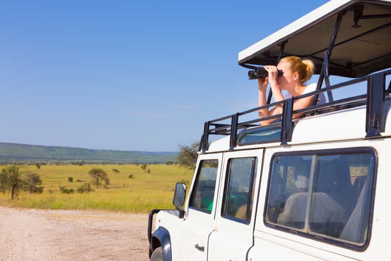Johannesburg Day Trip to Cradle of Humankind and Game Drive GetYourGuide