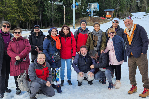 Whistler: Sea to Sky Gondola, Shannon and Brandywine Falls.