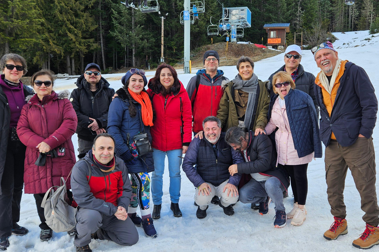 Whistler: Sea to Sky Gondola, Shannon and Brandywine Falls.