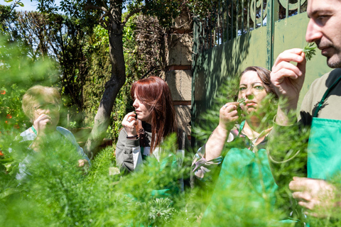 Naples: Mozzarella Experience, Taste of Southern Italy Naples: Mozzarella experience