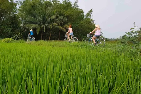 Hoi An Countryside Bike Tour & Basket Boat Ride