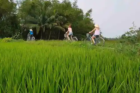 Hoi An Countryside Bike Tour & Basket Boat Ride