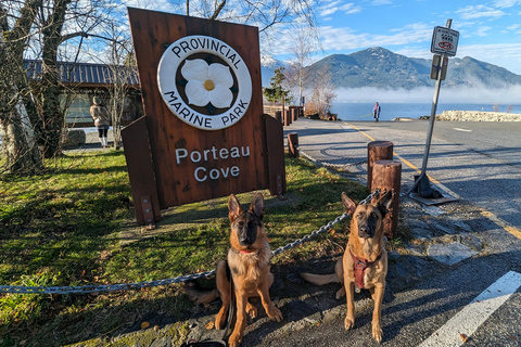 جولة ويسلر، جندول سي تو سكاي، شلال شانون وبحيرة جريناجعل جولتك خاصة