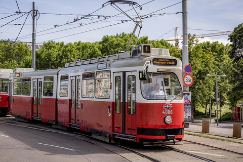 MegaCombo de Viena: Schönbrunn, Sisi, tour a pie y trasladosMegacombo de Viena: Schönbrunn, Sisi, tour a pie y traslados