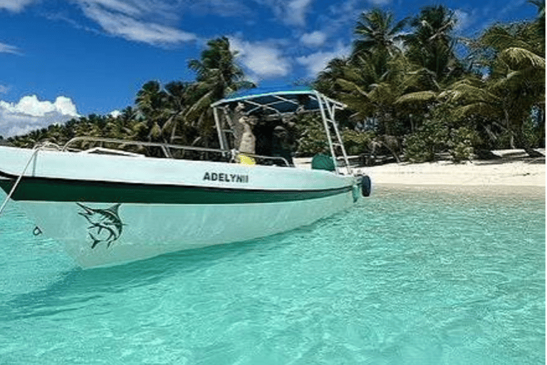 From Punta Cana: Saona Island Day Trip with Lunch & Drinks