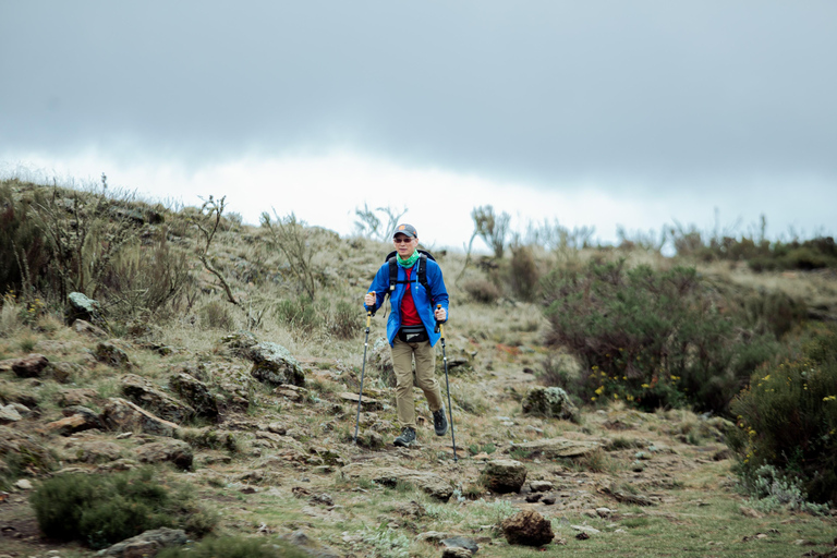 Moshi: Mount Kilimanjaro Day Trip – Marangu Route Day Hike