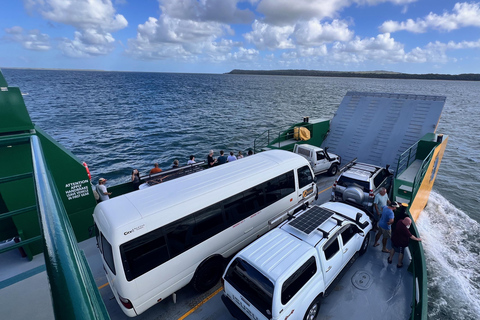 From Rainbow Beach: Small-Group K'gari (Fraser Island) Tour K'gari (Fraser Island) Full-Day Tour From Rainbow Beach