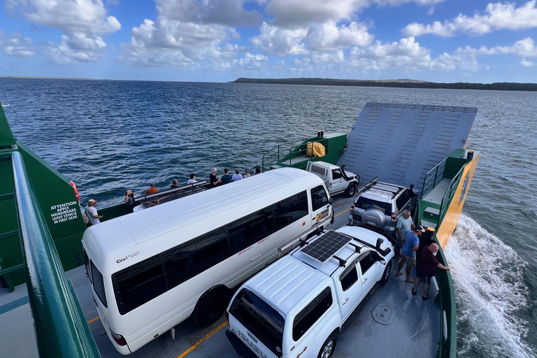 From Rainbow Beach: Small-Group K'gari (Fraser Island) Tour K'gari (Fraser Island) Full-Day Tour From Rainbow Beach