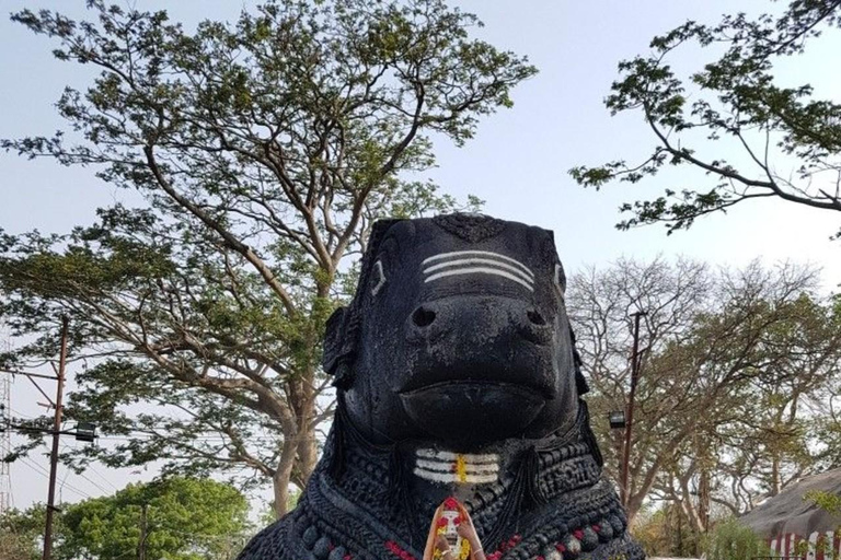 Tour della città di Bangalore: a piedi, palazzo e templiTour della città di Bangalore: a piedi, palazzi e templi