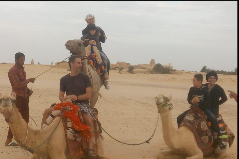 From Cairo: 4x4 Desert Safari, Waterfalls & Magic Lake Shared Tour: Wadi El Rayan, Magic Lake & Lake Qarun, Jeep