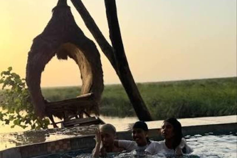 4-Days Chebera Churchura Safari Tour without flight