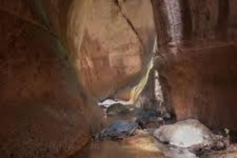 From San Salvador: Hiking the Devil's Alley