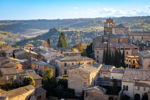 Vanuit Florence: dagtour door Assisi en CortonaRondleiding in het Engels