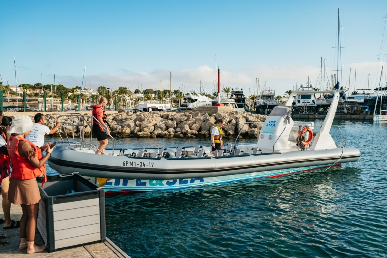 Palma Baai: 1 Uur Speedboot AvontuurBaai van Palma: speedbootavontuur van 1 uur