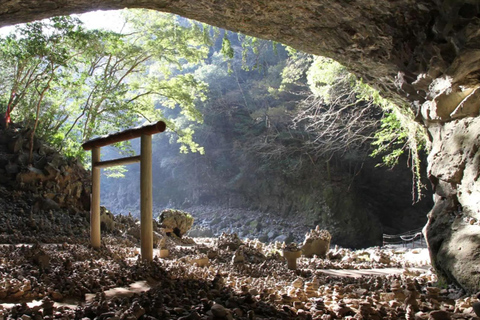 Fukuoka: Takachiho Gorge & Scenic Railway One Day Tour Limited-Time One-Day Tour (Excluding Admission Fees)