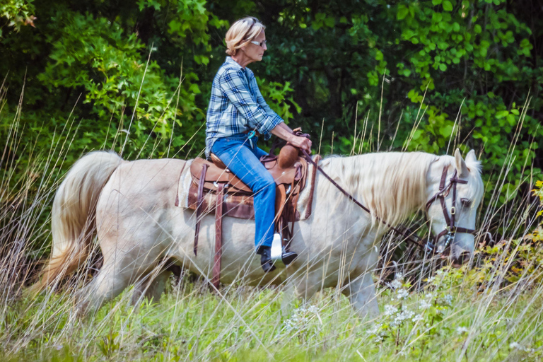 Bernex: Scenic Horse Ride and Gentle Pony Walks