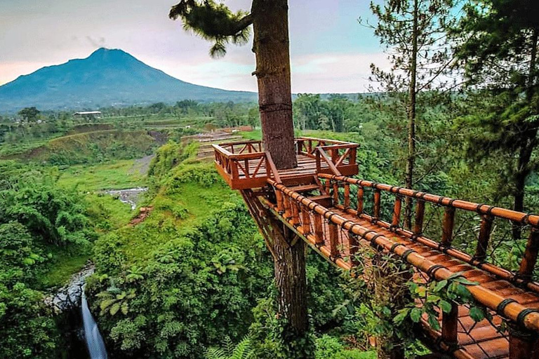 Mount Merapi Jeep Adventure: Thrilling Off-Road Tour Merapi Jeep Sunrise and Borobudur Tour