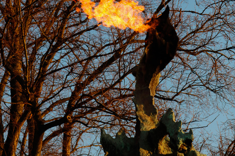 Krakow: Guided Tour with Wawel Cathedral Entry Tour in Polish