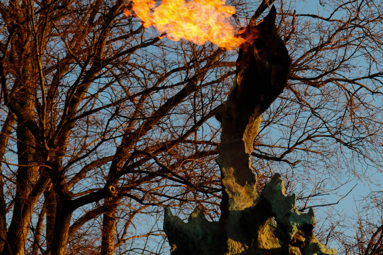 Krakow: Guided Tour with Wawel Cathedral Entry Tour in Polish