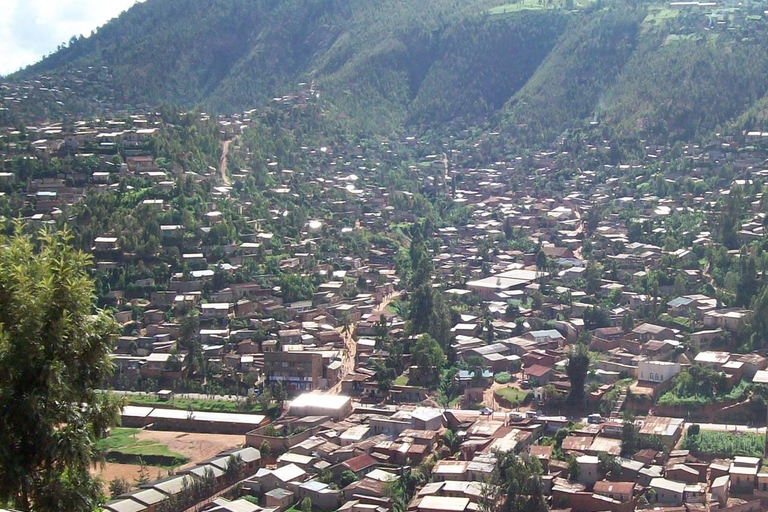 基加利：牛奶吧、村庄和观景台之旅基加利：牛奶吧、村庄和观景点之旅