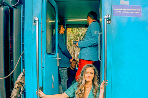 Kandy: Nuwara Eliya, Ambewela Drop Tour & Ella Train journey Kandy: Nuwara Eliya, Ambewela Drop Tour by car or van