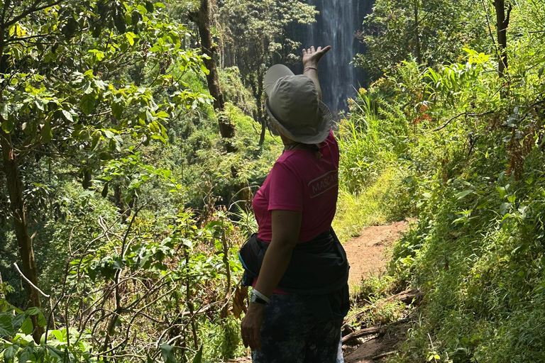 Moshi/Arusha: Chemka Hot Springs Materuni Waterfall Day tour 2 in 1 : Materuni & Chemka tour from Moshi