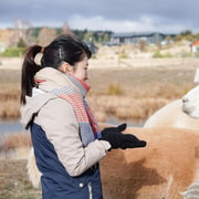 Lake Tekapo: Guided Petting Zoo Visit