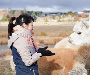 Lake Tekapo: Guided Petting Zoo Visit