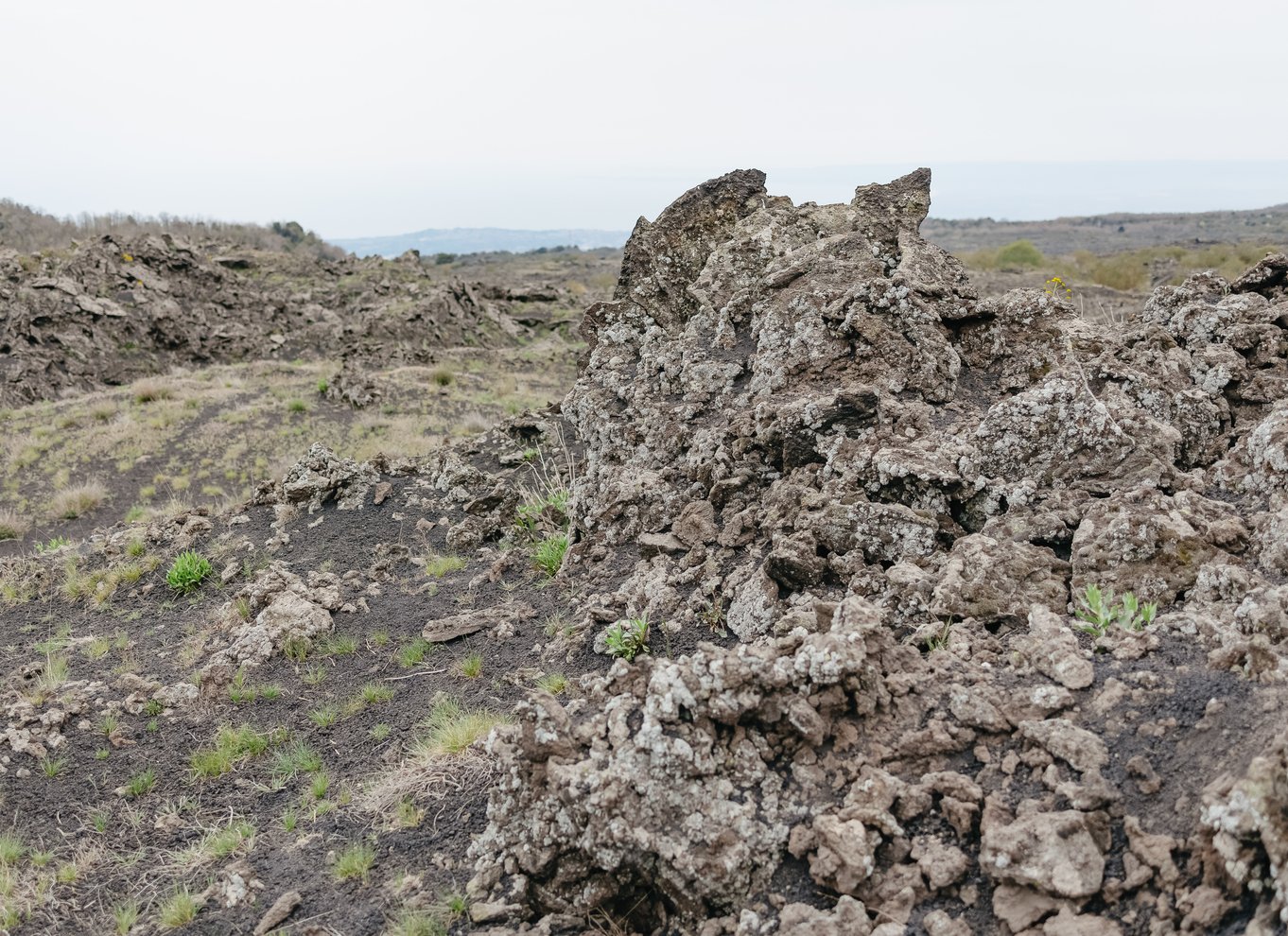 Catania: Etna Morgen- eller solnedgangs dagsudflugt med smagsprøver