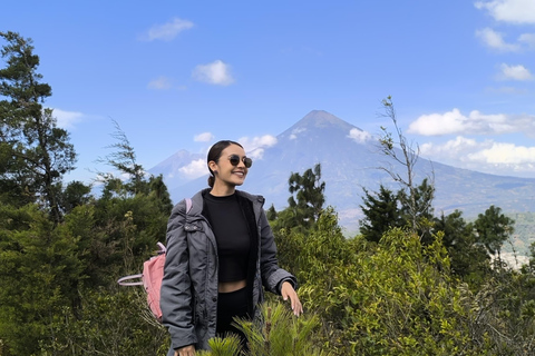 Pacaya Volcano Hike Adventure from Guatemala city Pacaya Volcano Hike Adventure from Guatemala city