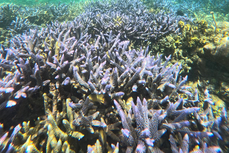 Lombok Private Snorkeling: Hidden Southwest 5 Gili Islands Lombok: Private Snorkeling Gili Asahan (5 Gilis) + Lunch