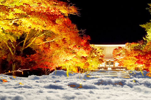 Ninnaji Temple: Special Entry for Unkai Light-up & Kannon-do Unkai (cloud sea) Light-up Entry Ticket