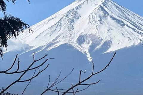 Kyoto - en privat Privat dagsutflykt med bil