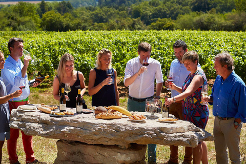 Paris: Discover the cellars in the countryside in Champagne