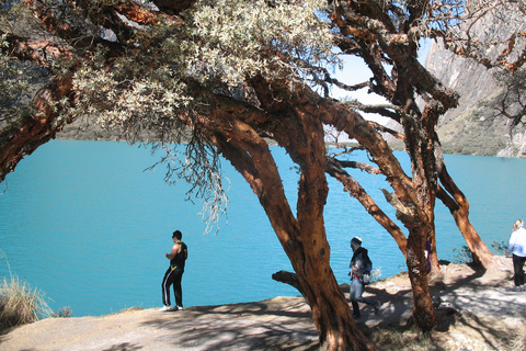 Depuis Huaraz : Visite d&#039;une jounée des lacs de Llanganuco