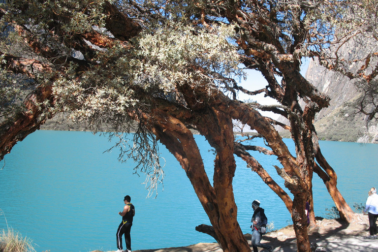 Desde Huaraz: Tour de día completo a las Lagunas de Llanganuco