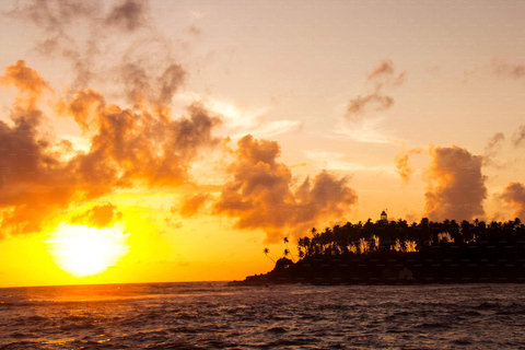 La migliore guida di viaggio dello Sri Lanka: Attrazioni principali Scoprire